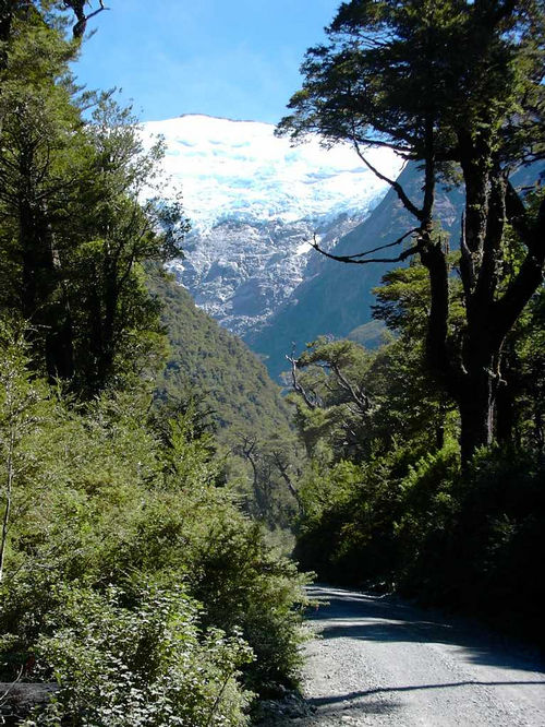 Carretera Austral  no Chile. (foto: Monica Schmiedt)