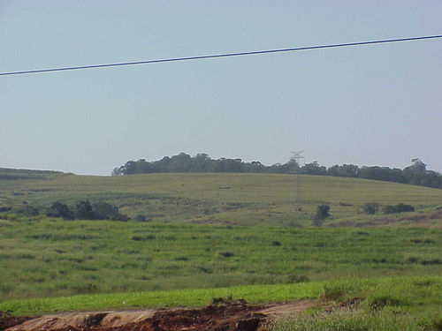 Paisagem de campo na trilha. (foto: Camila Christianini)