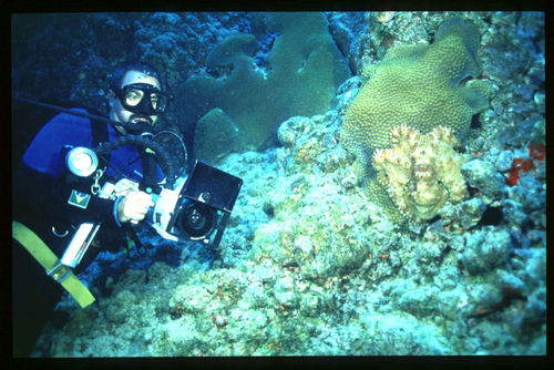 Lawrence durante mergulho em Rocas. (foto: Divulgação)