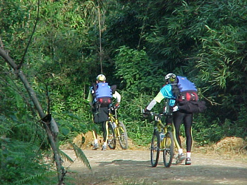 Em algumas corridas  os atletas pedalam no meio de grande árvores. (foto: Camila Christianini / Webventure)