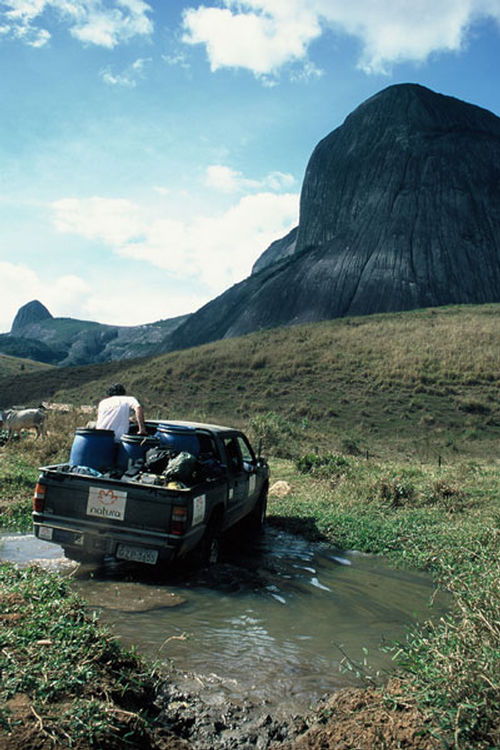 Para vencer os 1.260 metros da Pedra Riscada foram necessários mais de 300 quilos de equipamentos e mantimentos. (foto: Márcio Bortolusso.)