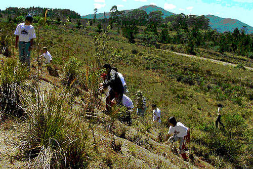 Equipe em treinamento no Curso Off-Road DPaschoal  fazendo a inspeção visual do (foto: Técnicas 4x4.)