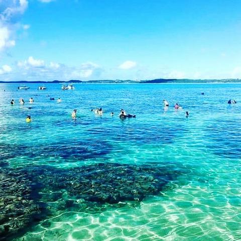 Praias de Alagoas estão próprias para banho